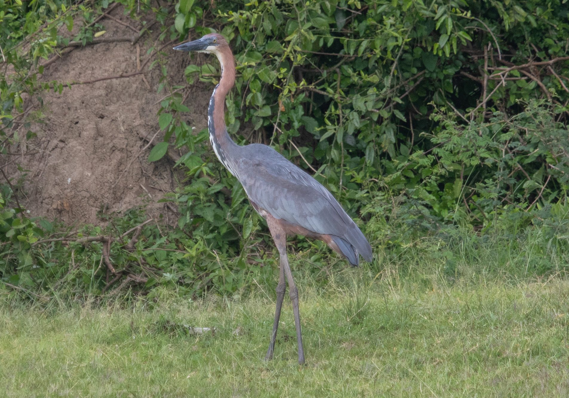 IMG_2531ug